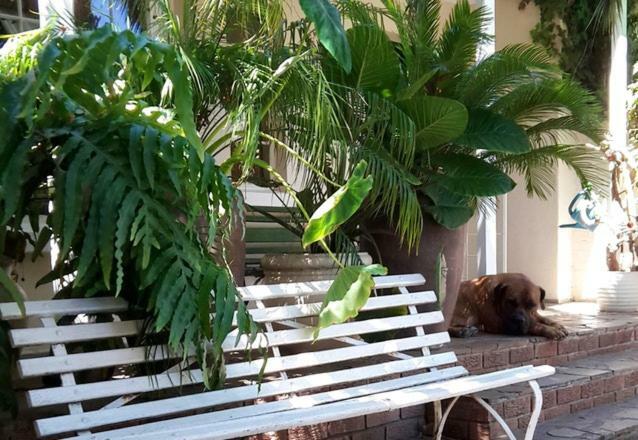 Mavilla Stellenbosch B&B מראה חיצוני תמונה